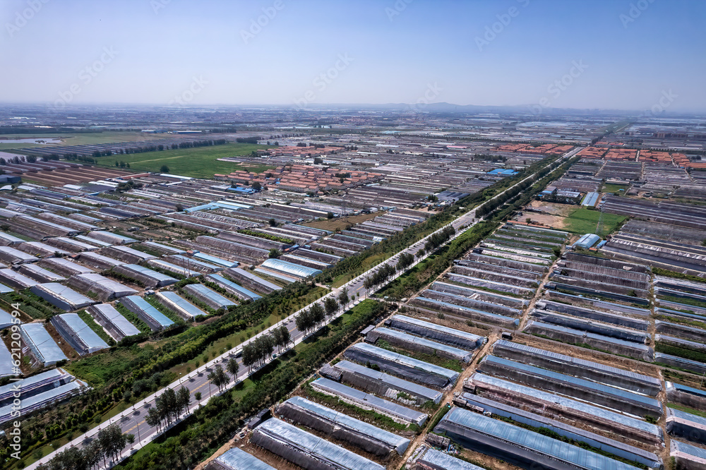 Aerial panoramic view of the skyline in Shouguang vegetable greenhouse area