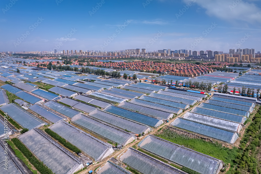 Aerial panoramic view of the skyline in Shouguang vegetable greenhouse area