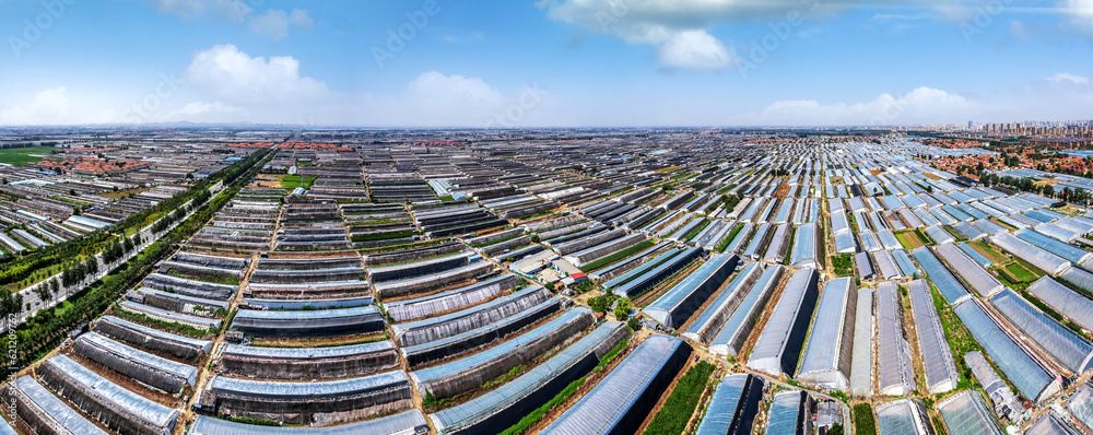 Aerial panoramic view of the skyline in Shouguang vegetable greenhouse area