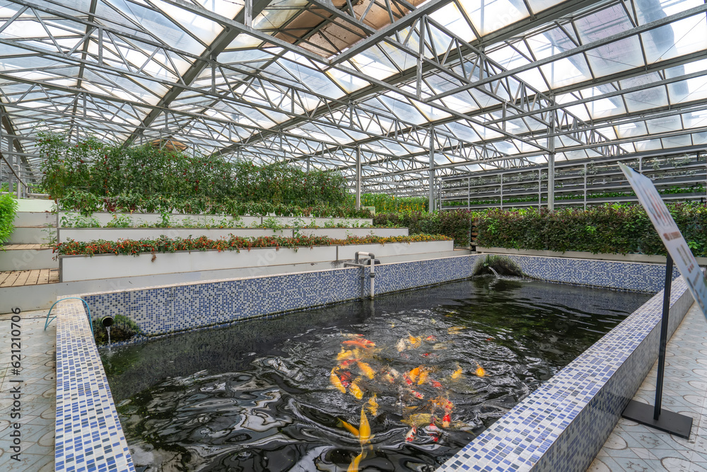 Shouguang ecological vegetable greenhouse interior scene