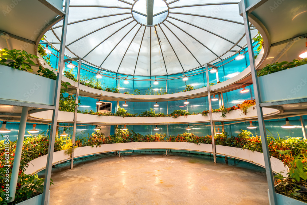 Shouguang ecological vegetable greenhouse interior scene