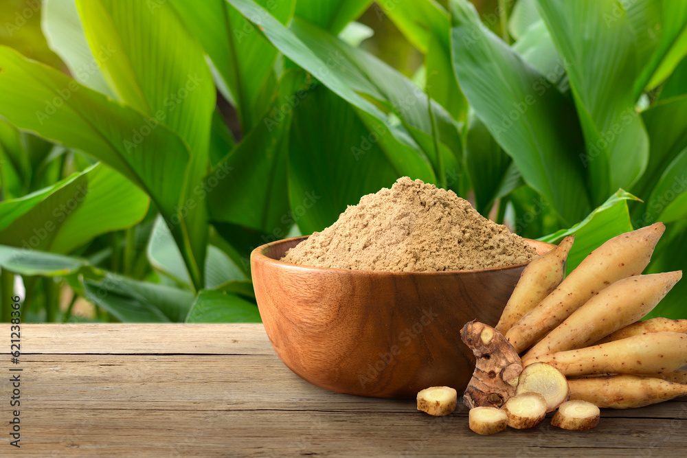 Finger root powder with fresh rhizome on wooden table.