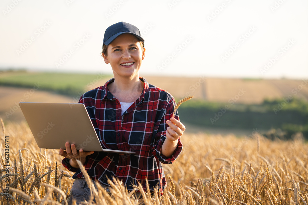 Woman farmer working with laptop on wheat field. Smart farming and digital agriculture