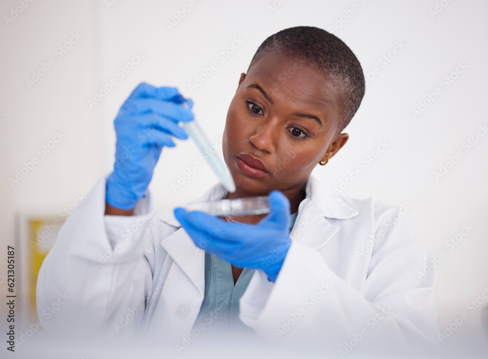 Hands, petri dish and black woman scientist with DNA sample, science experiment and medical research