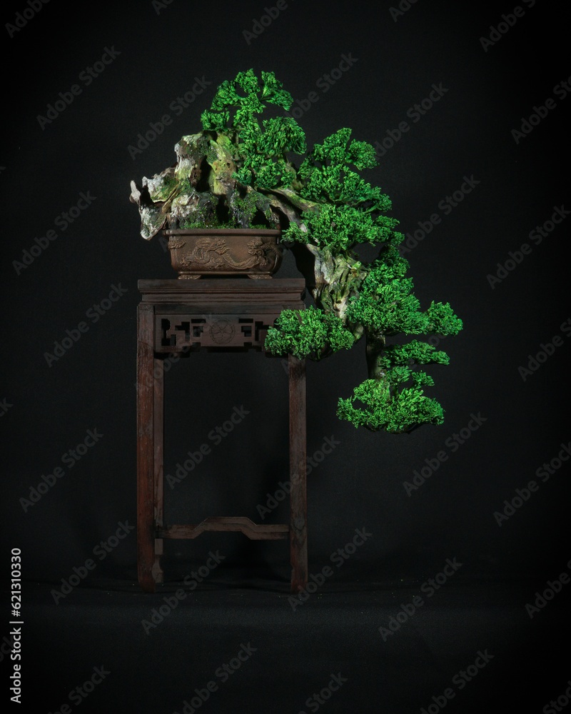 Japanese bonsai tree has a beautiful green color placed on a white wooden table. Waiting to send to 