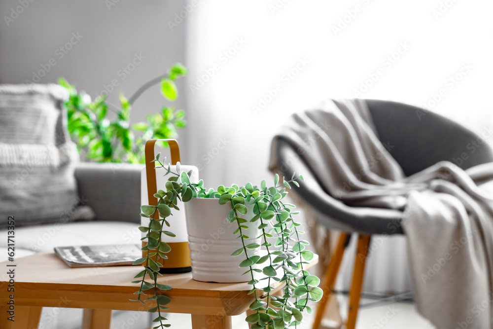 Wooden coffee table with houseplant, lamp and magazine in living room, closeup