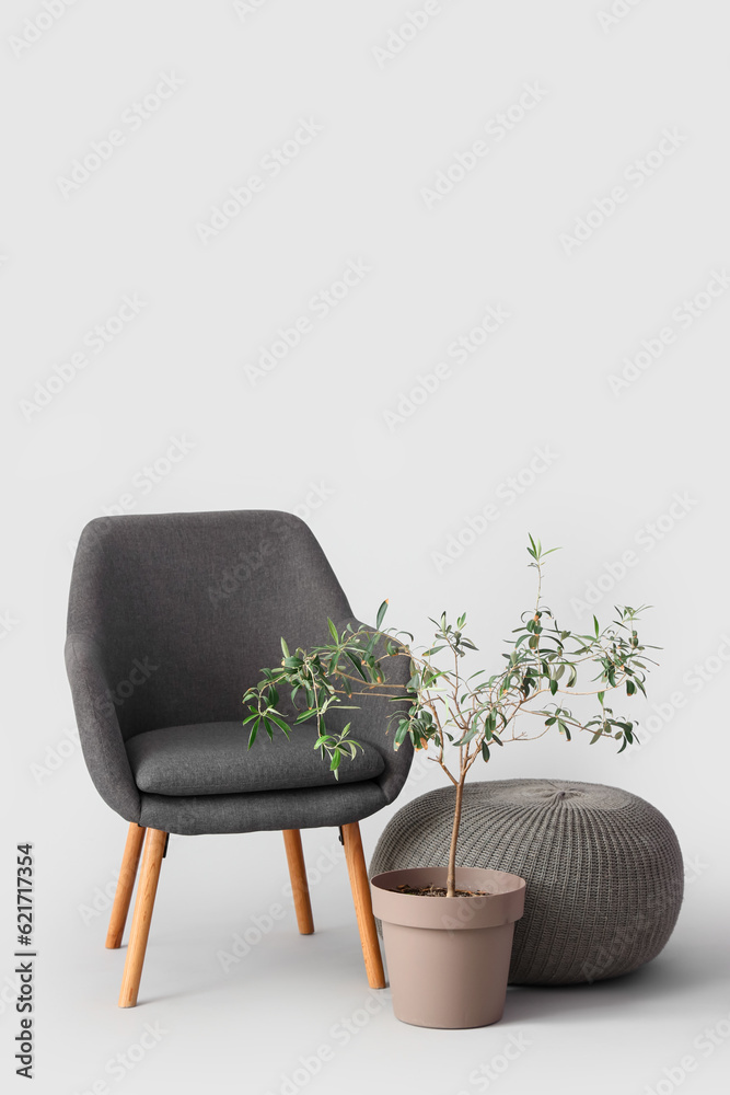 Soft armchair with pouf and houseplant on white background