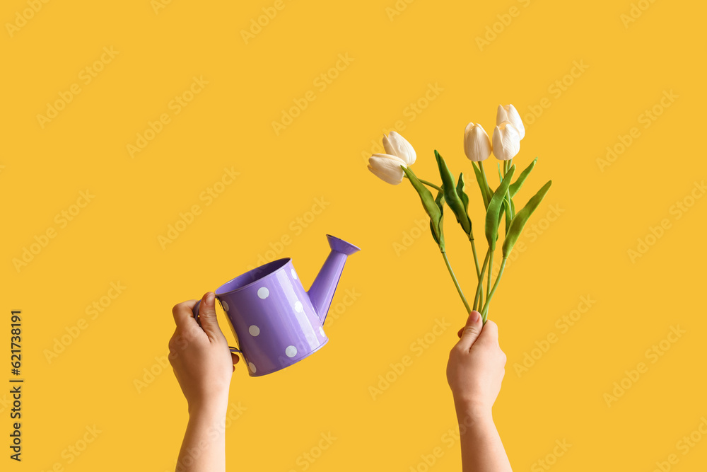 Gardener with tulips and watering can on yellow background