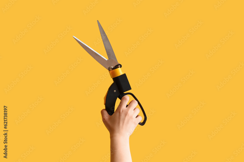 Gardener with secateurs on yellow background