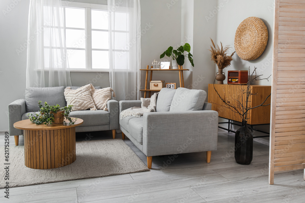 Stylish grey sofas, table and houseplants in interior of light living room