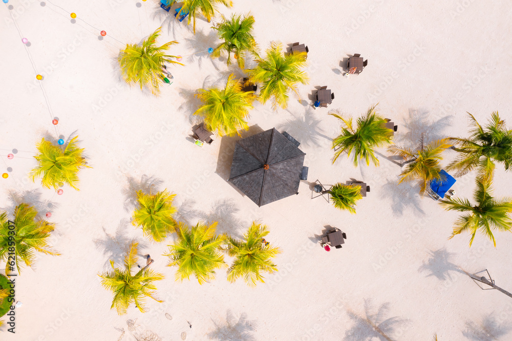 Seashore with palm trees and cafes. Coast as a background from top view.  Aerial landscape. Backgrou