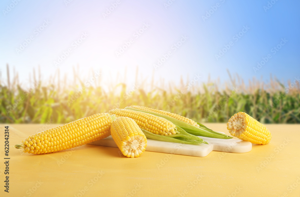 Ripe fresh corn cobs on table outdoors