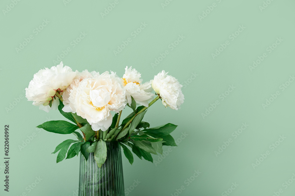 Vase of white peonies on green background