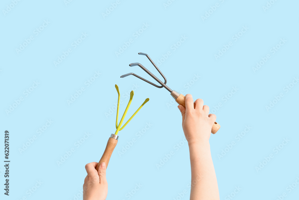 Gardener with rakes on blue background