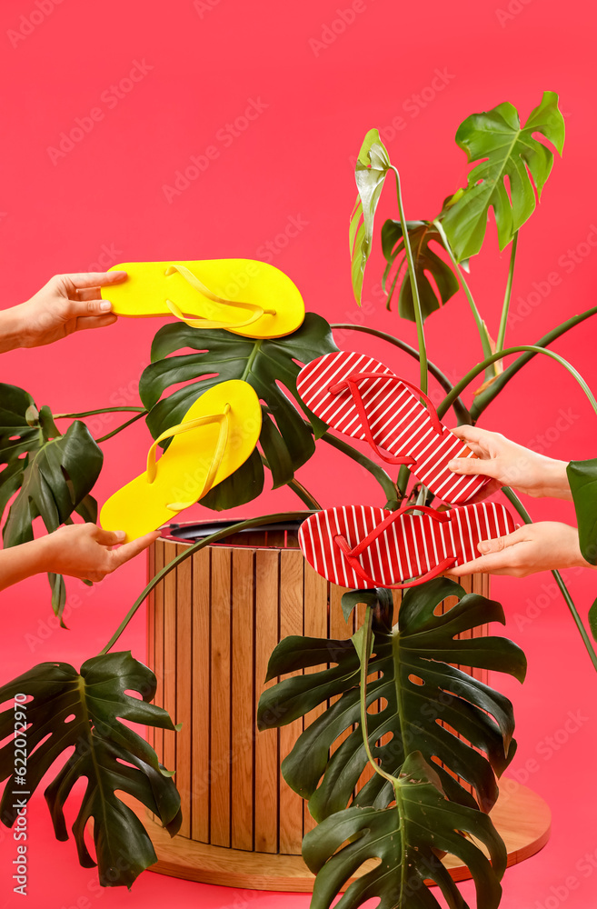 Hands with flip-flops and tropical plant on red background