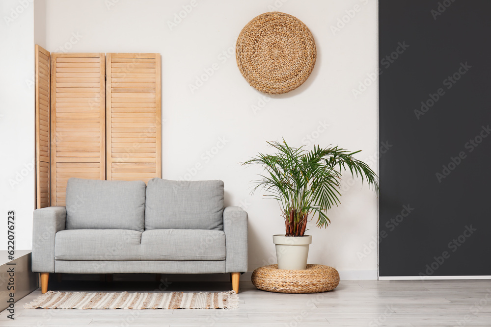 Interior of light living room with stylish grey sofa, folding screen and houseplant