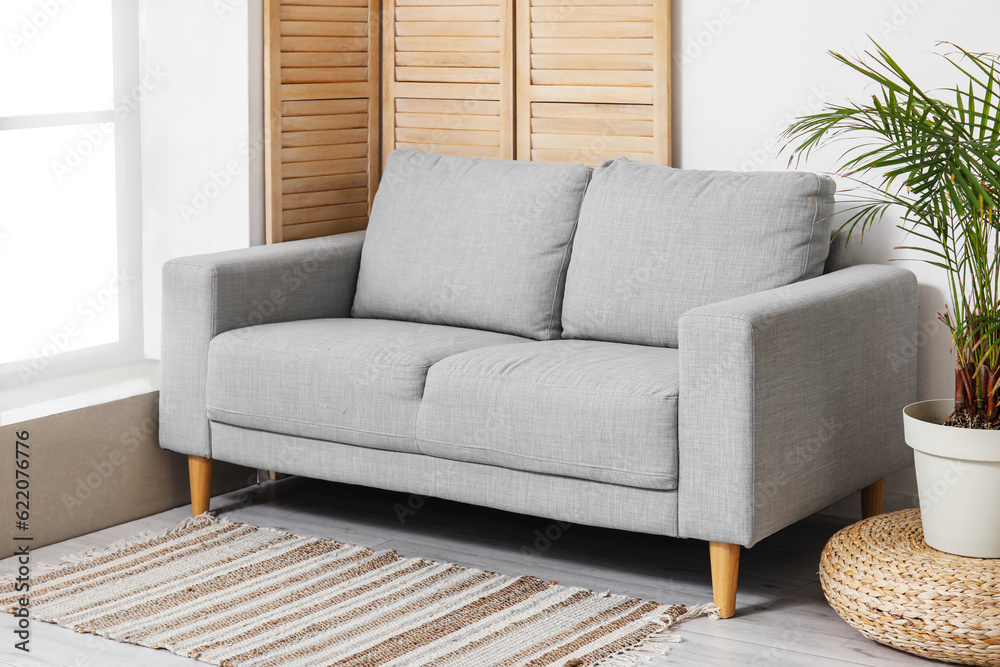 Interior of light living room with stylish grey sofa, folding screen and houseplant