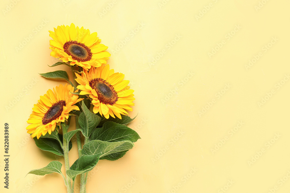 Beautiful sunflowers on yellow background