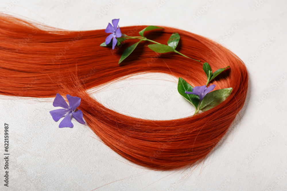 Composition with ginger hair strand and beautiful periwinkle on light background, closeup