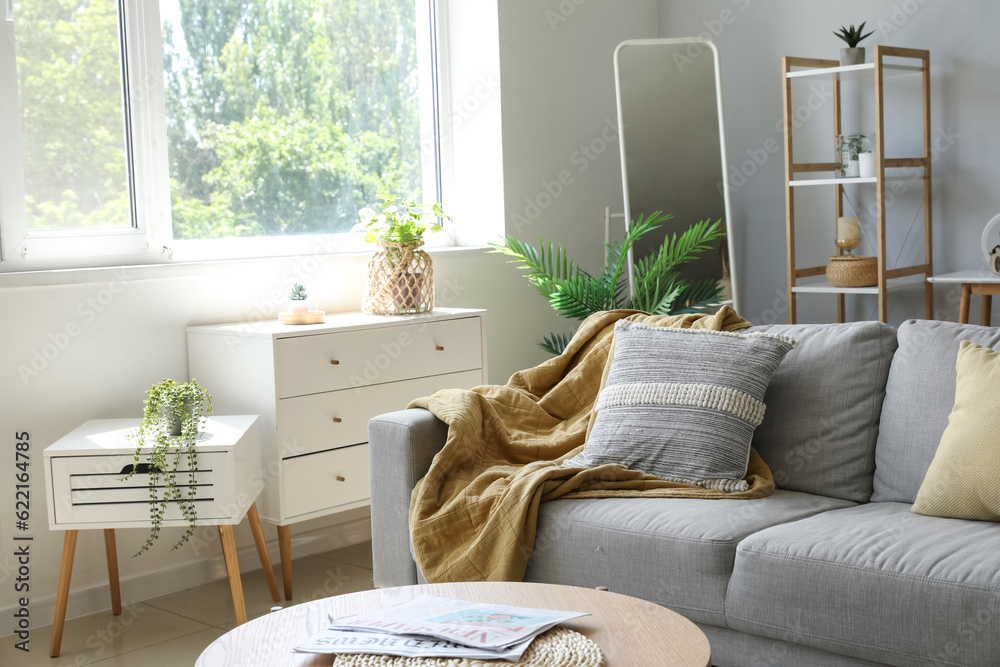 Interior of light living room with grey sofa, houseplants and mirror