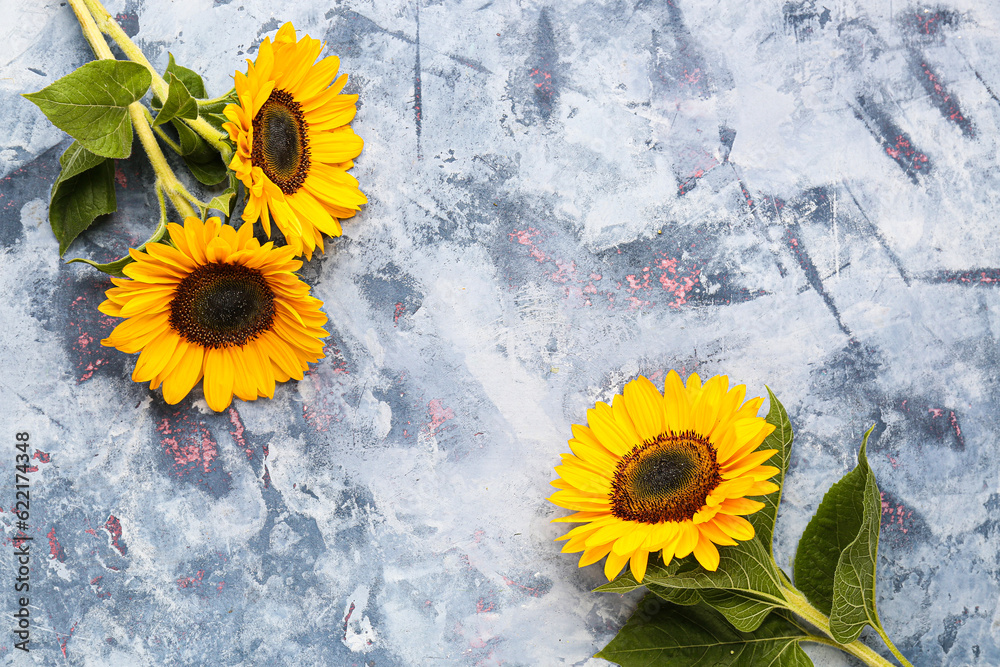 Beautiful sunflowers on blue background