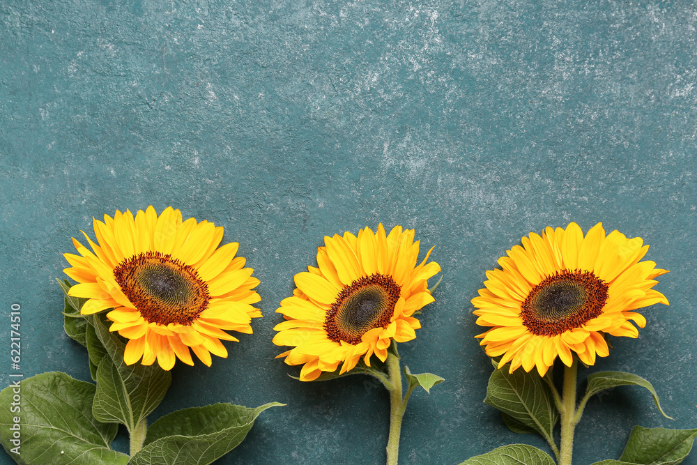 Beautiful sunflowers on green background