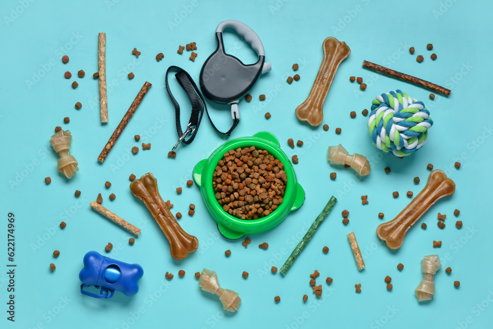 Composition with different dog food and pet care accessories on color background