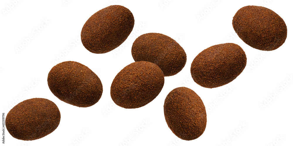 Chocolate coated almond in cocoa powder isolated on white background