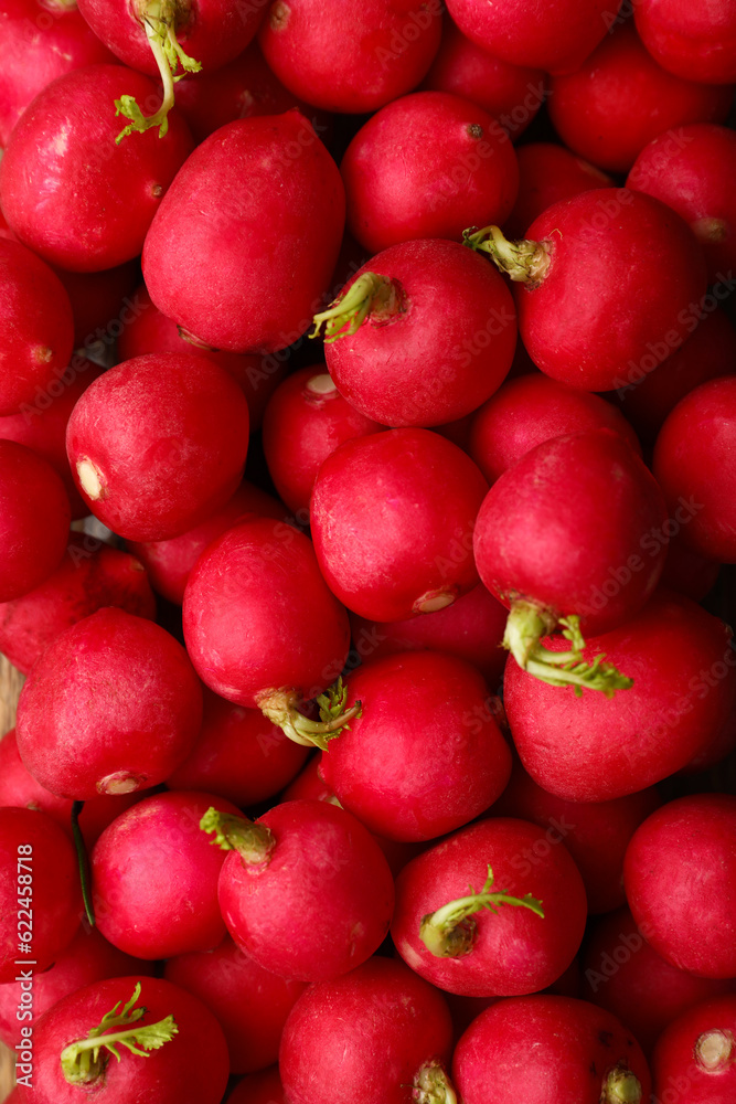 Fresh ripe radish as background, closeup