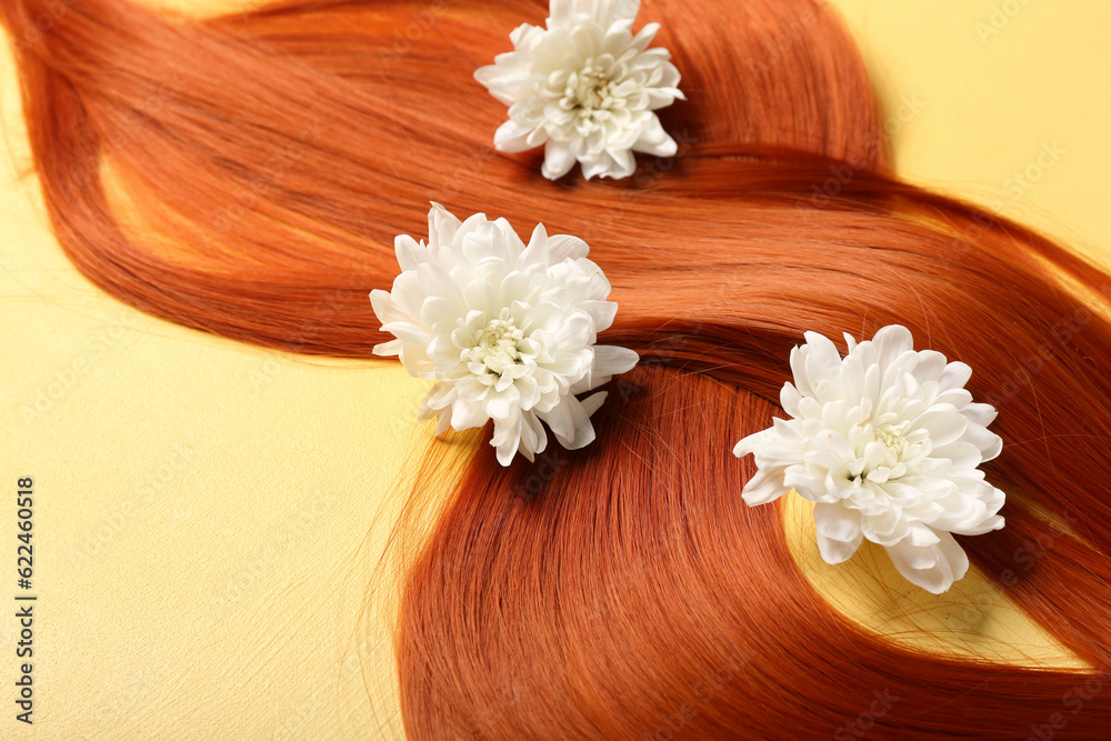 Beautiful ginger hair with chrysanthemum flowers on yellow background, closeup