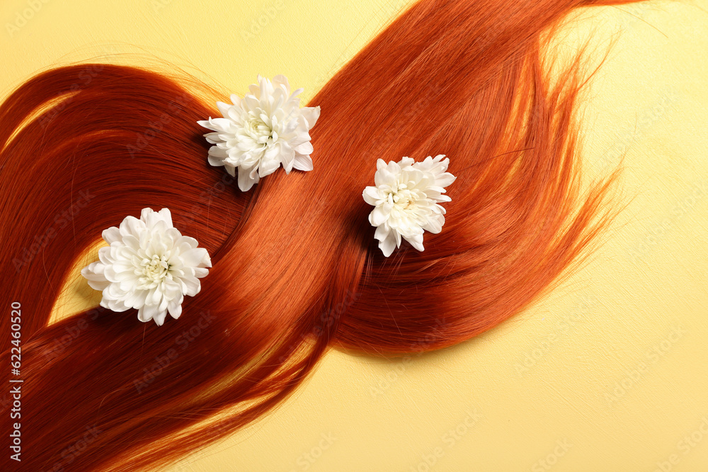 Beautiful ginger hair with chrysanthemum flowers on yellow background, closeup