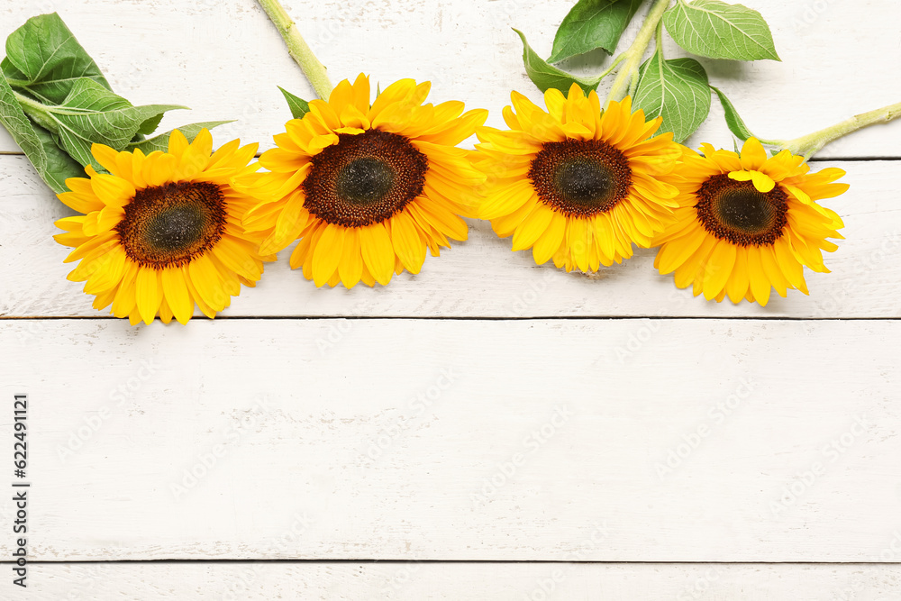 Beautiful sunflowers on white wooden background