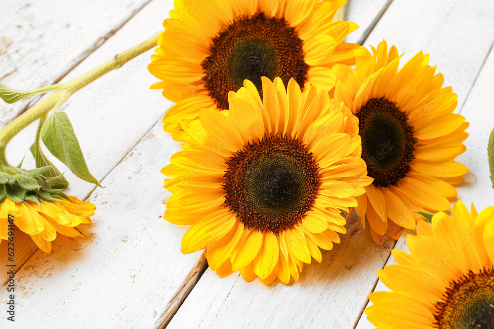 Beautiful sunflowers on white wooden background