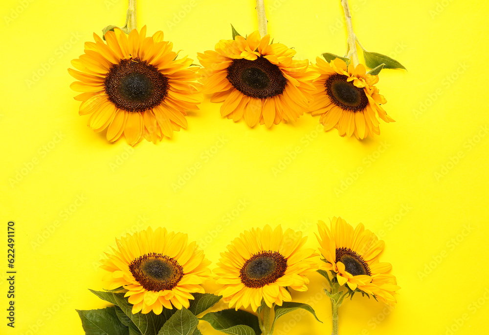 Beautiful sunflowers on yellow background