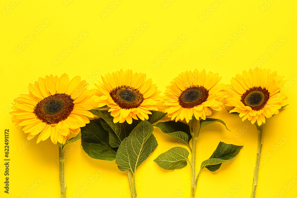 Beautiful sunflowers on yellow background