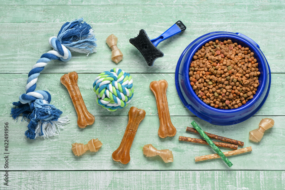 Composition with dog food and accessories on color wooden background