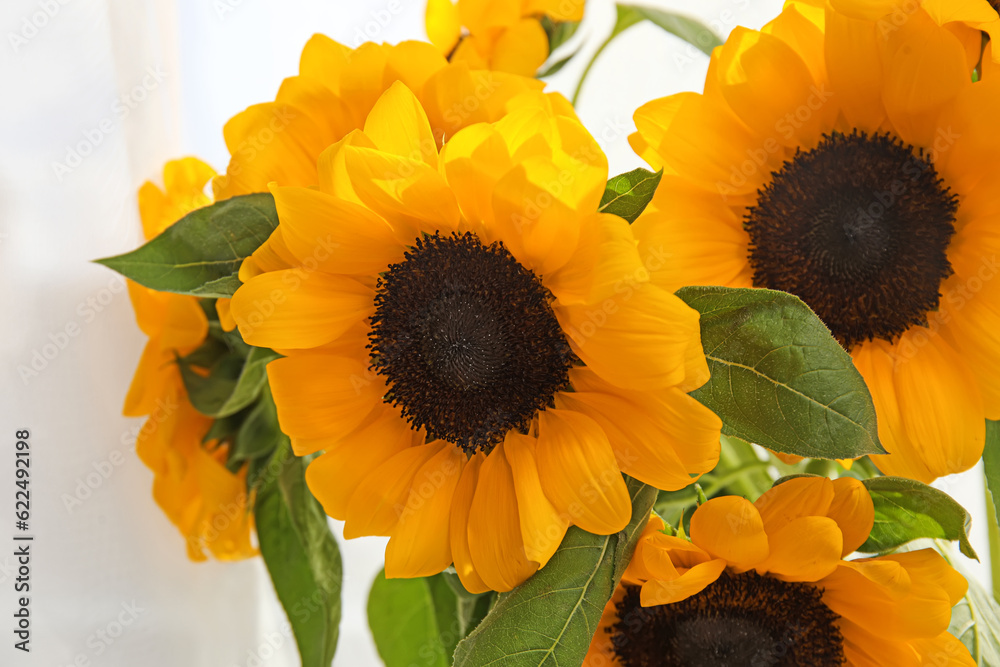 Beautiful sunflowers near window in room, closeup