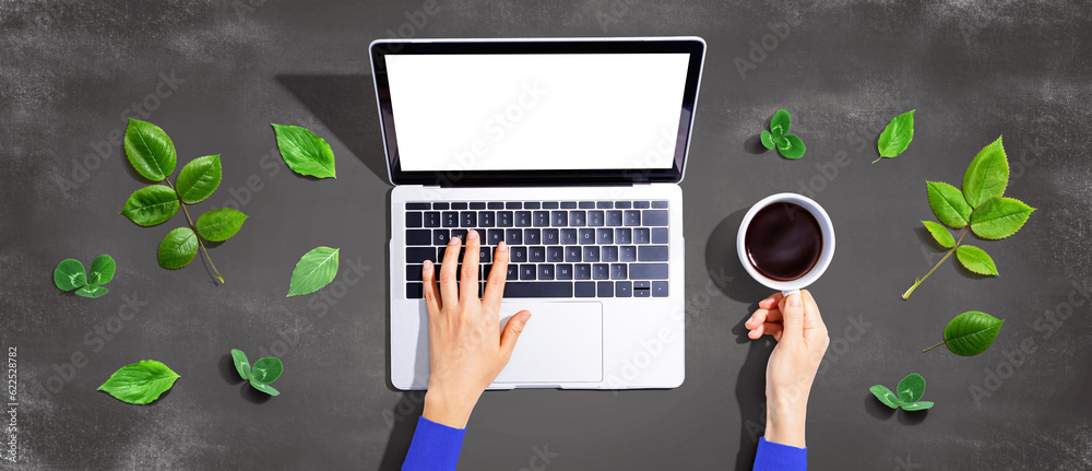 Person using a laptop computer with green leaves - flat lay