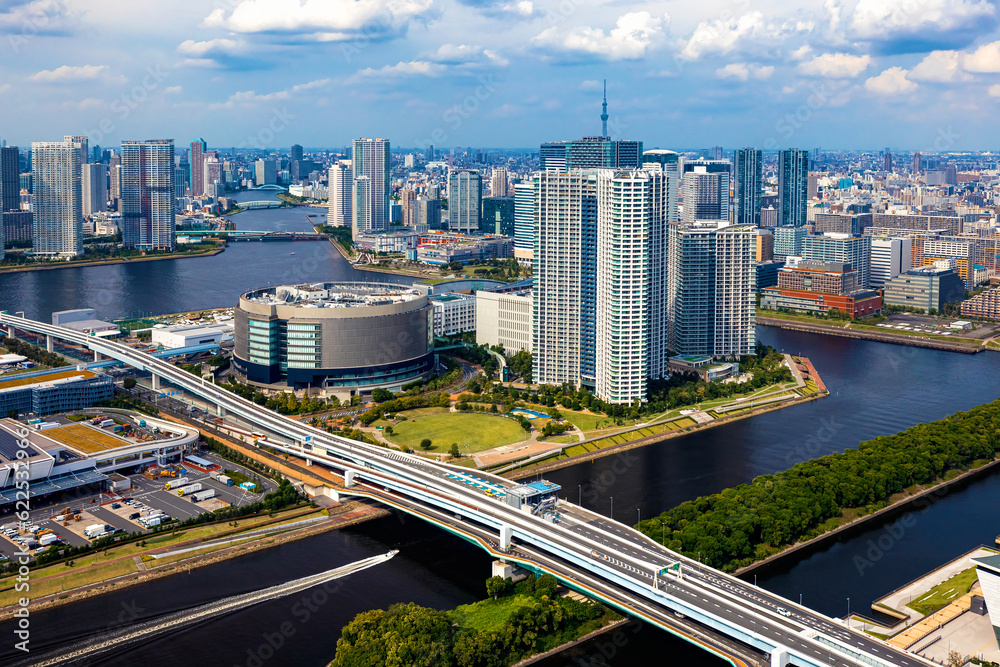 Aerial view of Odaiba Harbor in Minato City, Tokyo, Japan