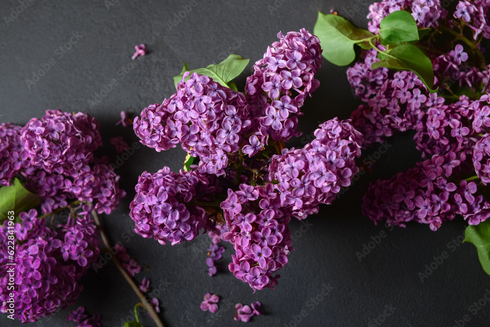 Beautiful bright lilac flowers on dark background