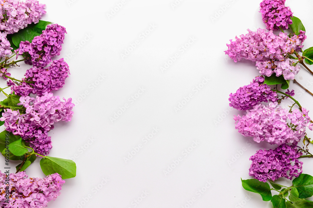 Beautiful bright lilac flowers on white background