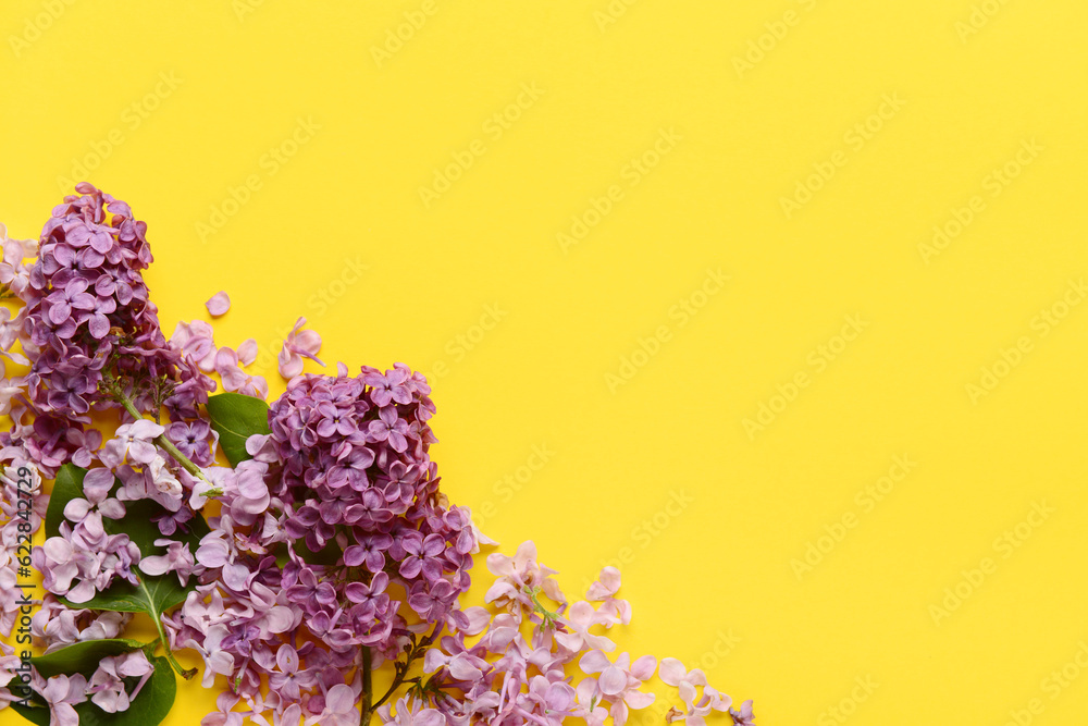 Beautiful lilac flowers on yellow background