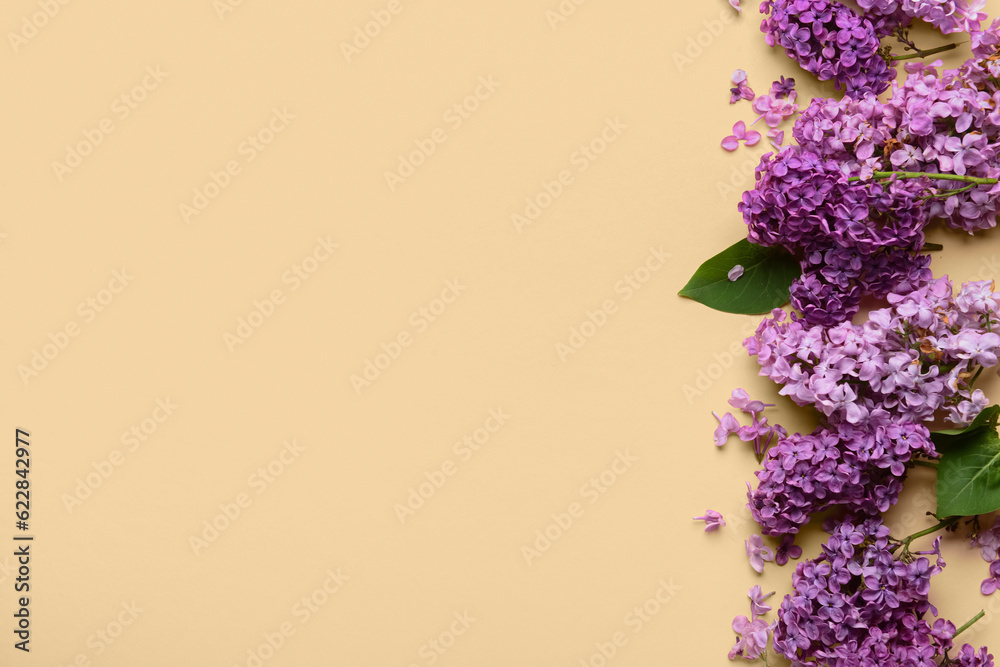 Beautiful bright lilac flowers on beige background