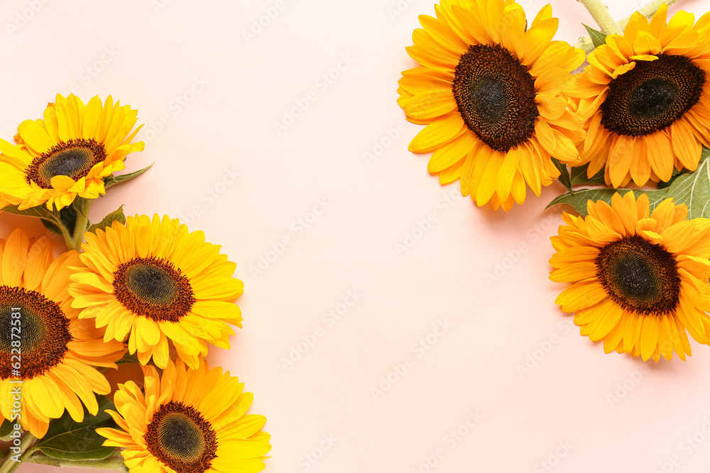 Beautiful sunflowers on pink background