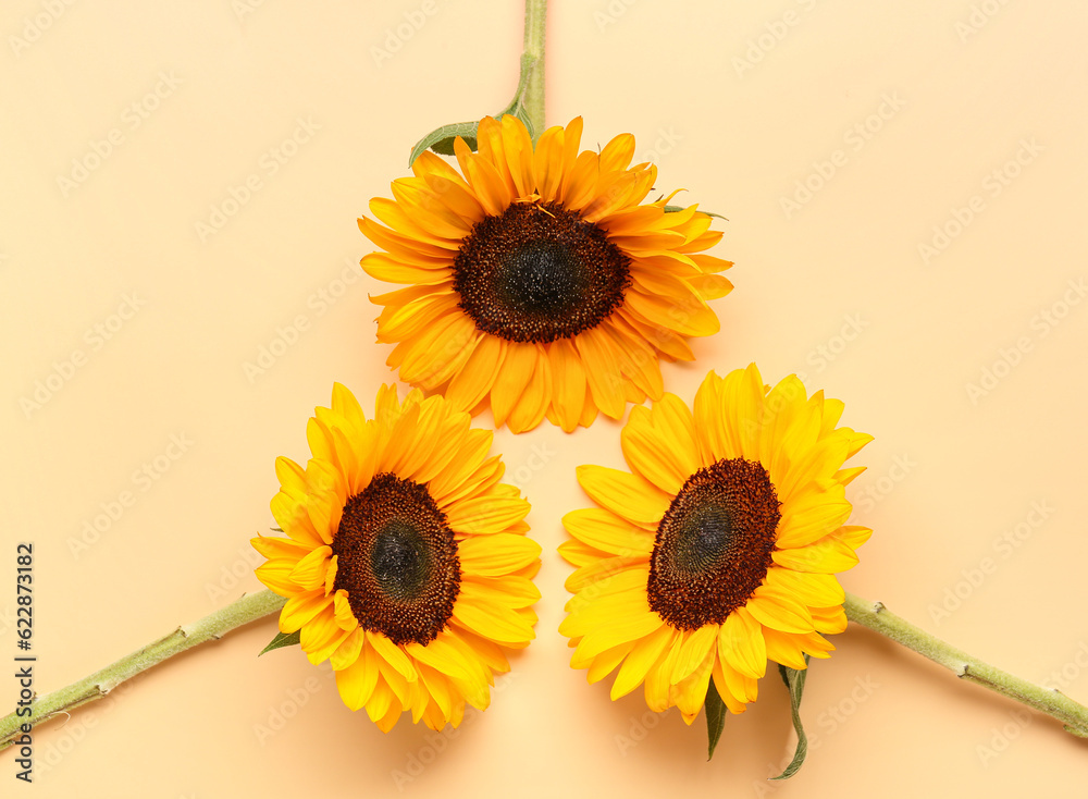 Beautiful sunflowers on orange background