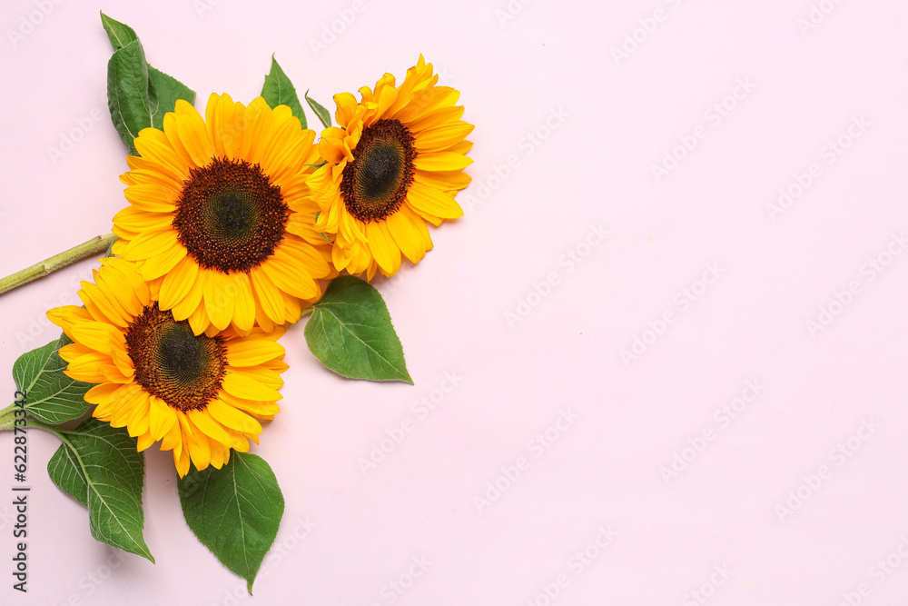 Beautiful sunflowers on lilac background