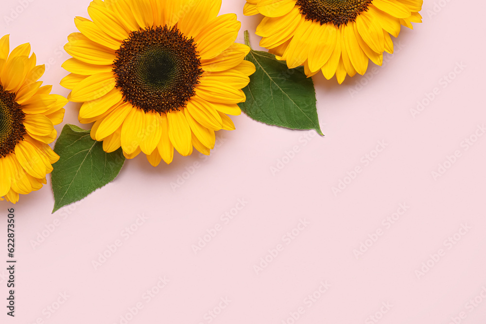 Beautiful sunflowers with leaves on lilac background