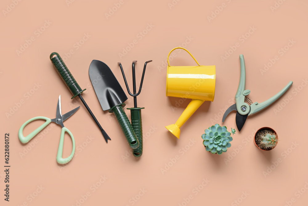 Set of gardening tools on beige background