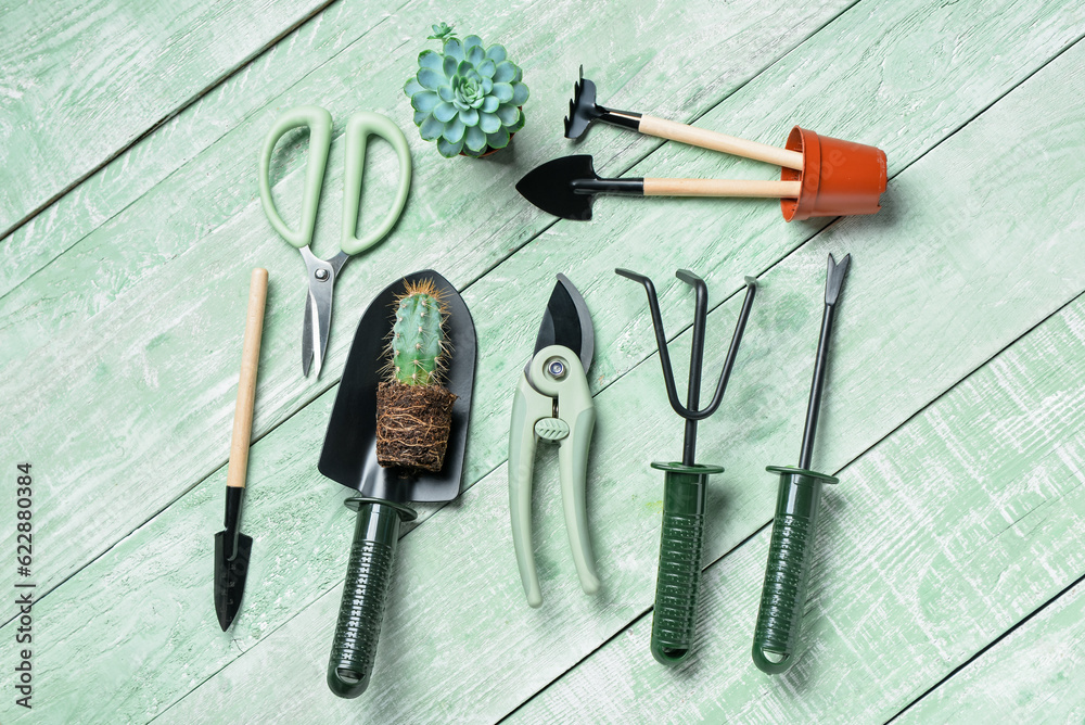 Set of gardening tools on green wooden background