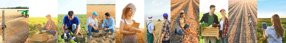 Set of working farmers in fields